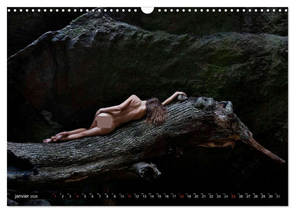 Saint-Tropez Les paysages et le nu (CALVENDO Calendrier mensuel 2026)