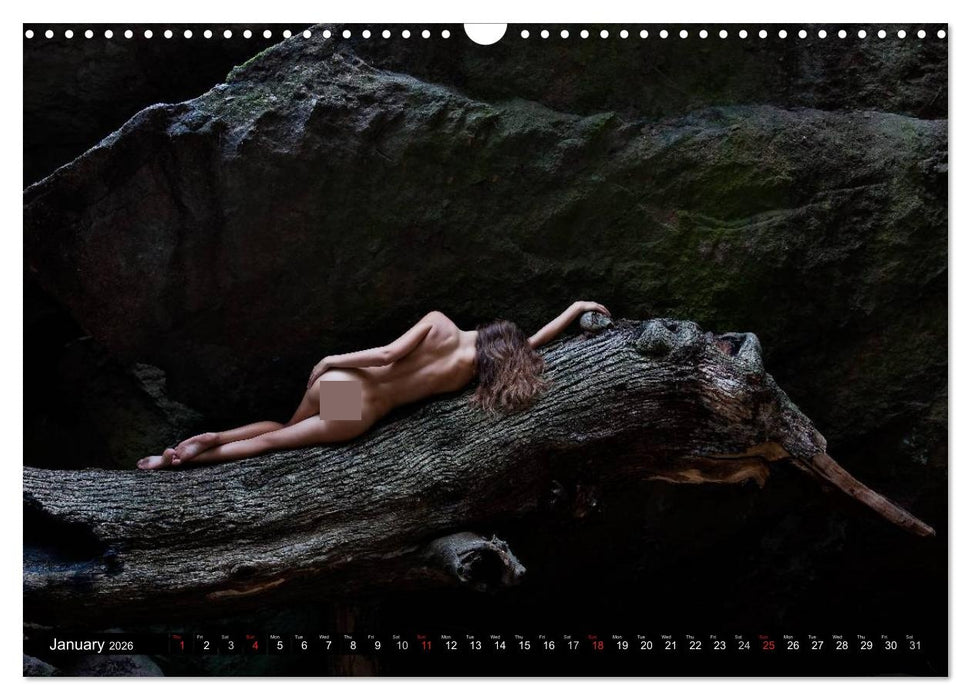 Cote d'Azur Landscapes and Nudes (CALVENDO Monthly Calendar 2026)