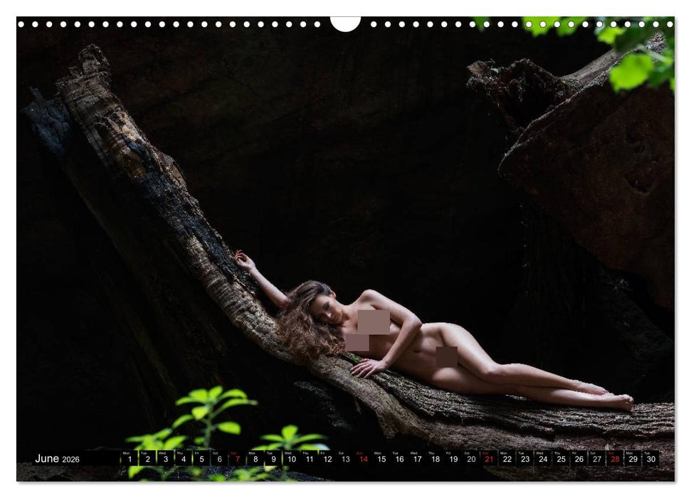 Cote d'Azur Landscapes and Nudes (CALVENDO Monthly Calendar 2026)