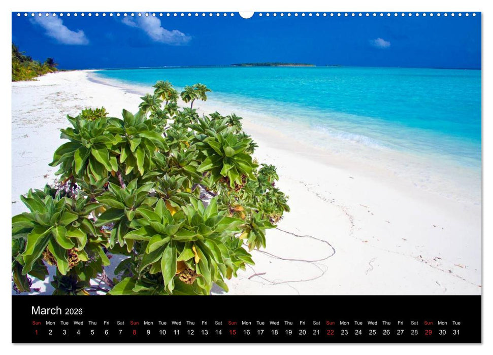 Amazing Maldives (CALVENDO Premium-Calendar 2026)