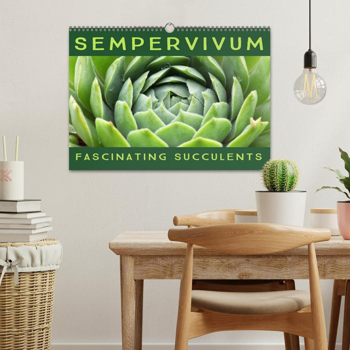 Sempervivum Fascinating Succulents (CALVENDO Monthly Calendar 2026)
