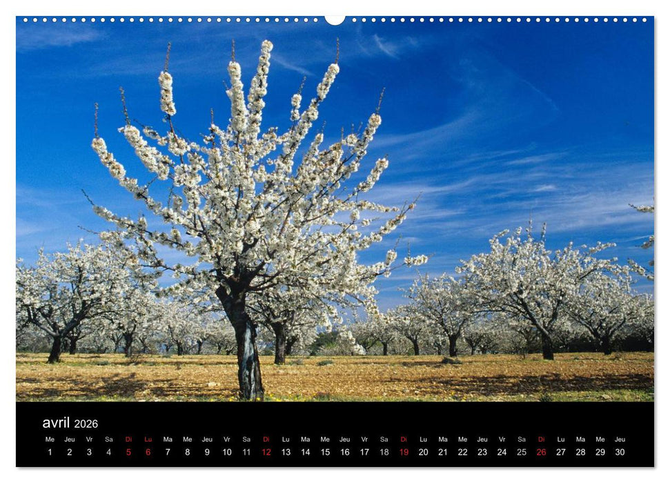 Paysages de Provence (CALVENDO Calendrier supérieur 2026)
