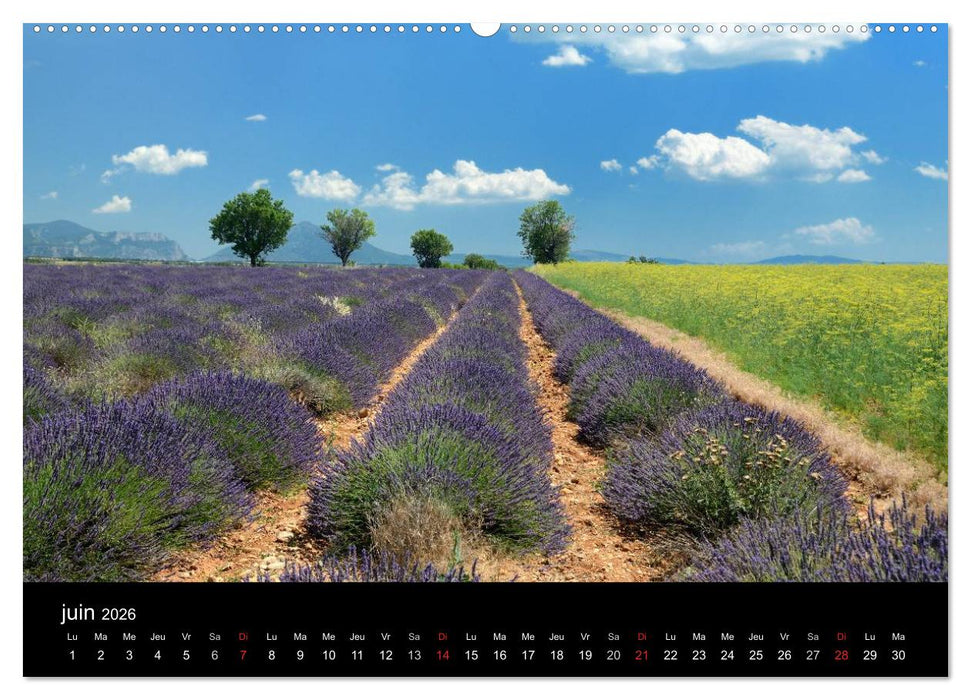 Paysages de Provence (CALVENDO Calendrier supérieur 2026)
