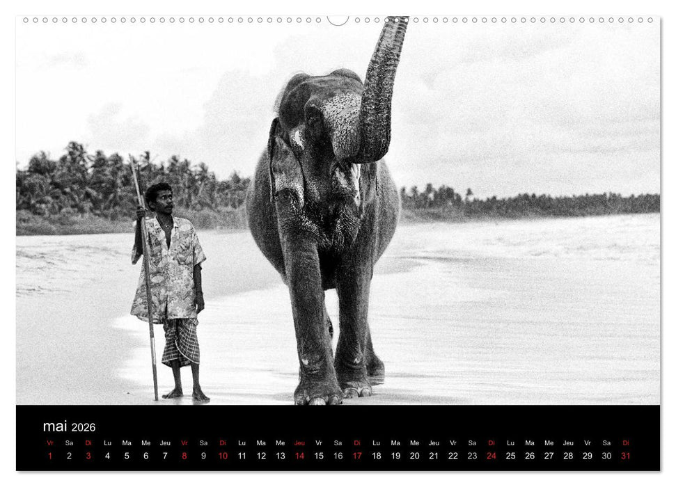 DES ÉLÉPHANTS ET DES HOMMES (CALVENDO Calendrier supérieur 2026)