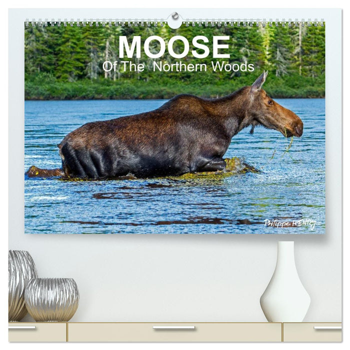 MOOSE Of The Northern Woods (CALVENDO Premium-Calendar 2026)