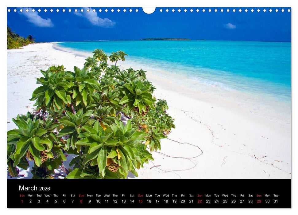Amazing Maldives (CALVENDO Monthly Calendar 2026)