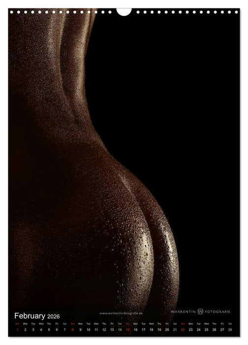 bodyparts (CALVENDO Monthly Calendar 2026)