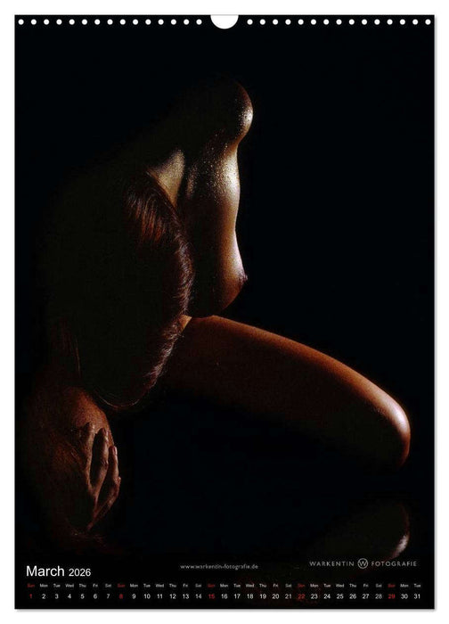 bodyparts (CALVENDO Monthly Calendar 2026)