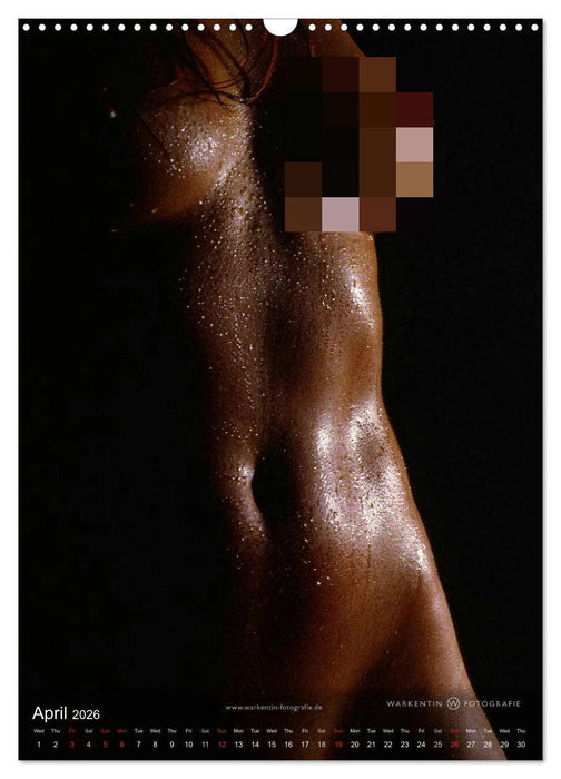 bodyparts (CALVENDO Monthly Calendar 2026)