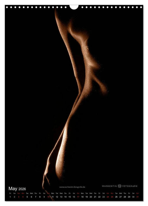 bodyparts (CALVENDO Monthly Calendar 2026)