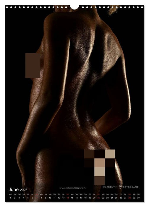 bodyparts (CALVENDO Monthly Calendar 2026)