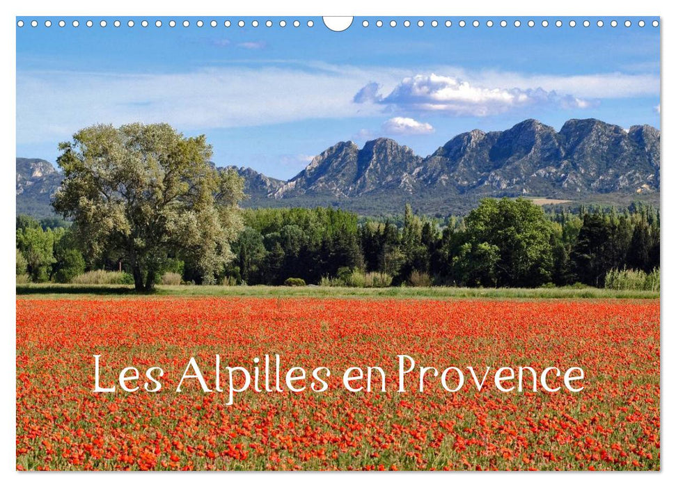 Les Alpilles en Provence (CALVENDO Calendrier mensuel 2026)