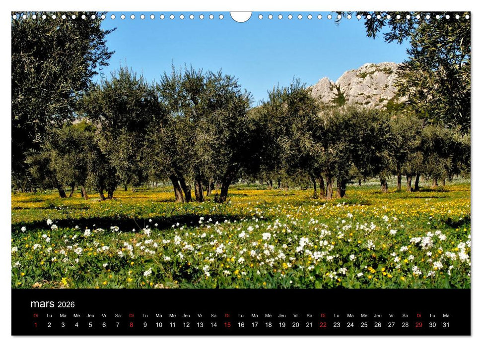 Les Alpilles en Provence (CALVENDO Calendrier mensuel 2026)