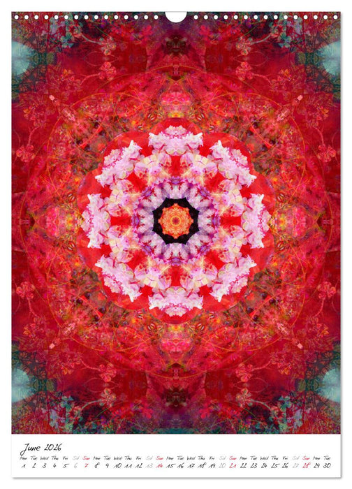 MANDALA COMPOSITIONS (CALVENDO Monthly Calendar 2026)