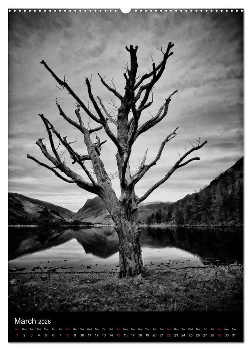 Journeys - Black & White (CALVENDO Premium-Calendar 2026)