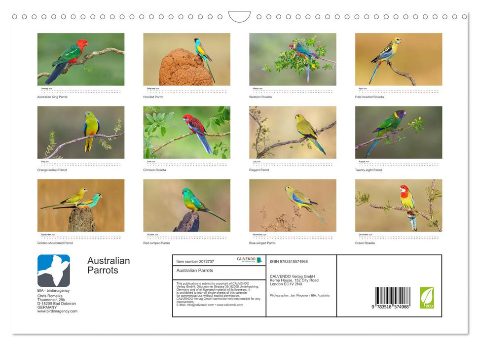 Australian Parrots (CALVENDO Monthly Calendar 2026)