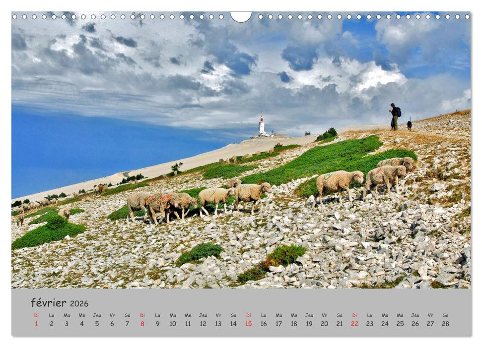 Le Mont Ventoux Le géant de Provence (CALVENDO Calendrier mensuel 2026)