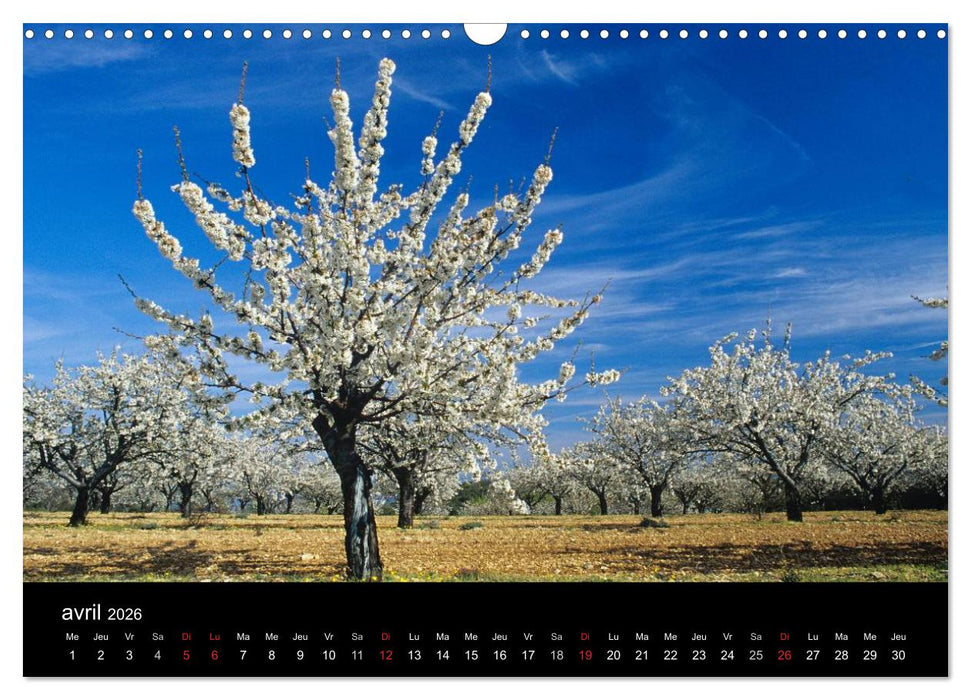 Paysages de Provence (CALVENDO Calendrier mensuel 2026)