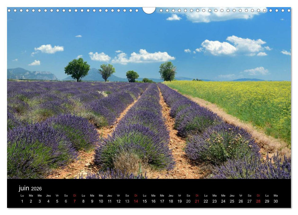 Paysages de Provence (CALVENDO Calendrier mensuel 2026)