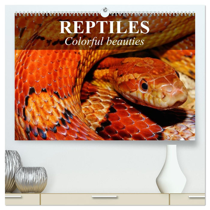 Reptiles Colorful beauties (CALVENDO Premium-Calendar 2026)