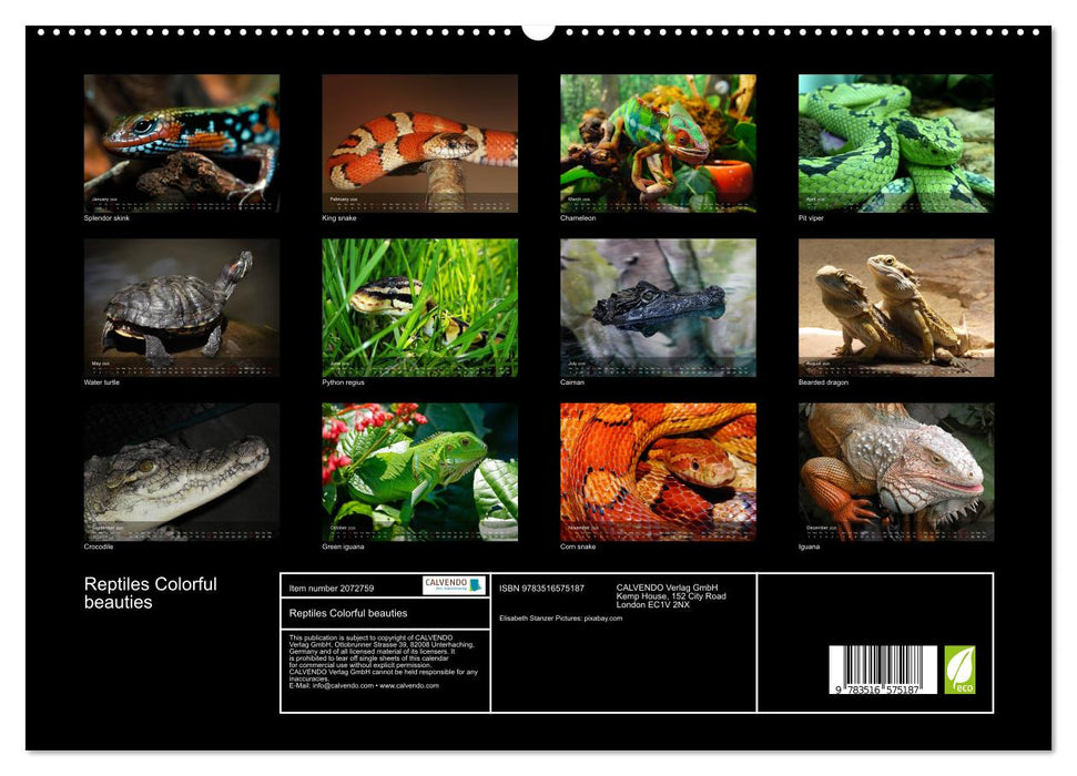 Reptiles Colorful beauties (CALVENDO Premium-Calendar 2026)