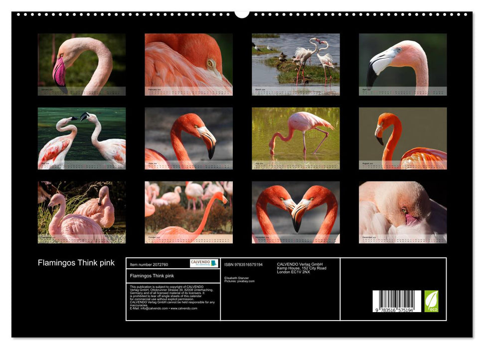 Flamingos Think pink (CALVENDO Premium-Calendar 2026)
