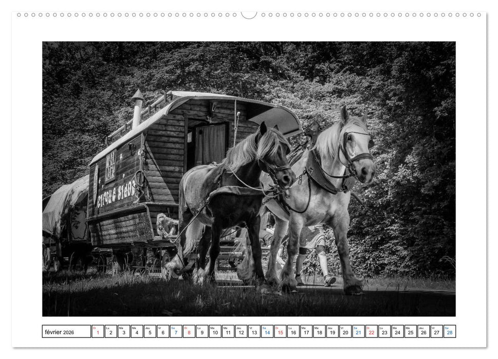 Sur la route avec le Cirque Bidon (CALVENDO Calendrier supérieur 2026)