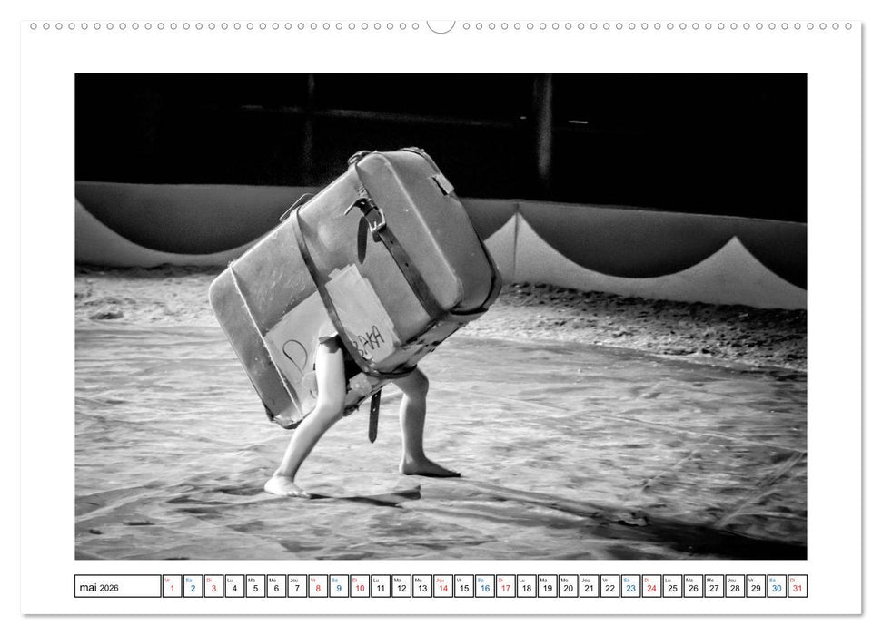 Sur la route avec le Cirque Bidon (CALVENDO Calendrier supérieur 2026)