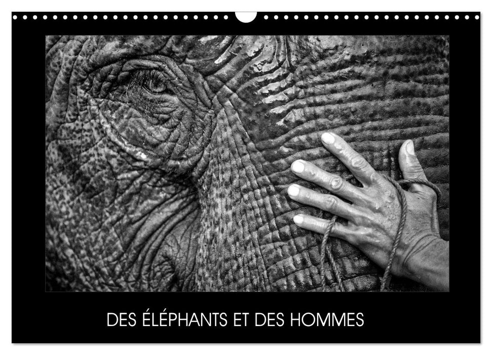 DES ÉLÉPHANTS ET DES HOMMES (CALVENDO Calendrier mensuel 2026)