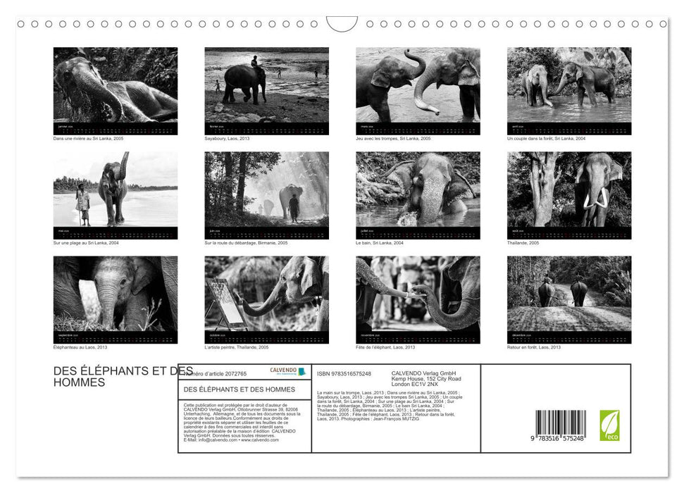 DES ÉLÉPHANTS ET DES HOMMES (CALVENDO Calendrier mensuel 2026)