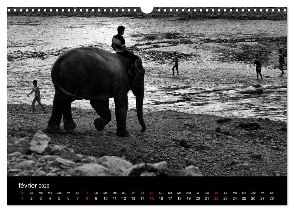 DES ÉLÉPHANTS ET DES HOMMES (CALVENDO Calendrier mensuel 2026)