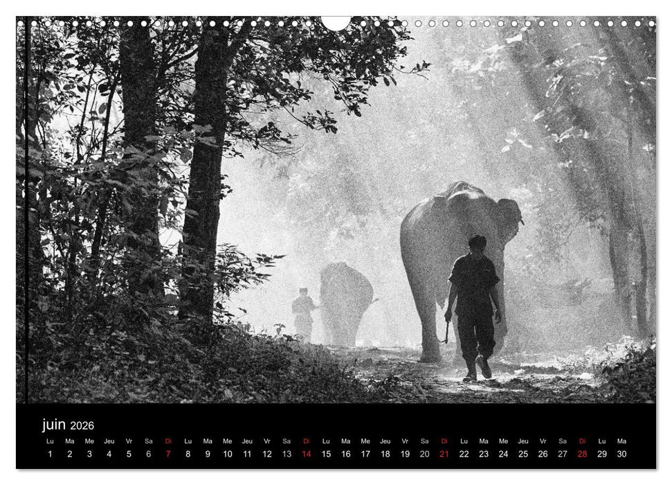 DES ÉLÉPHANTS ET DES HOMMES (CALVENDO Calendrier mensuel 2026)