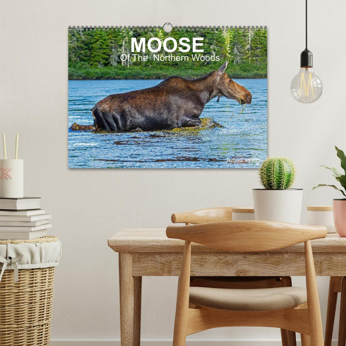 MOOSE Of The Northern Woods (CALVENDO Monthly Calendar 2026)