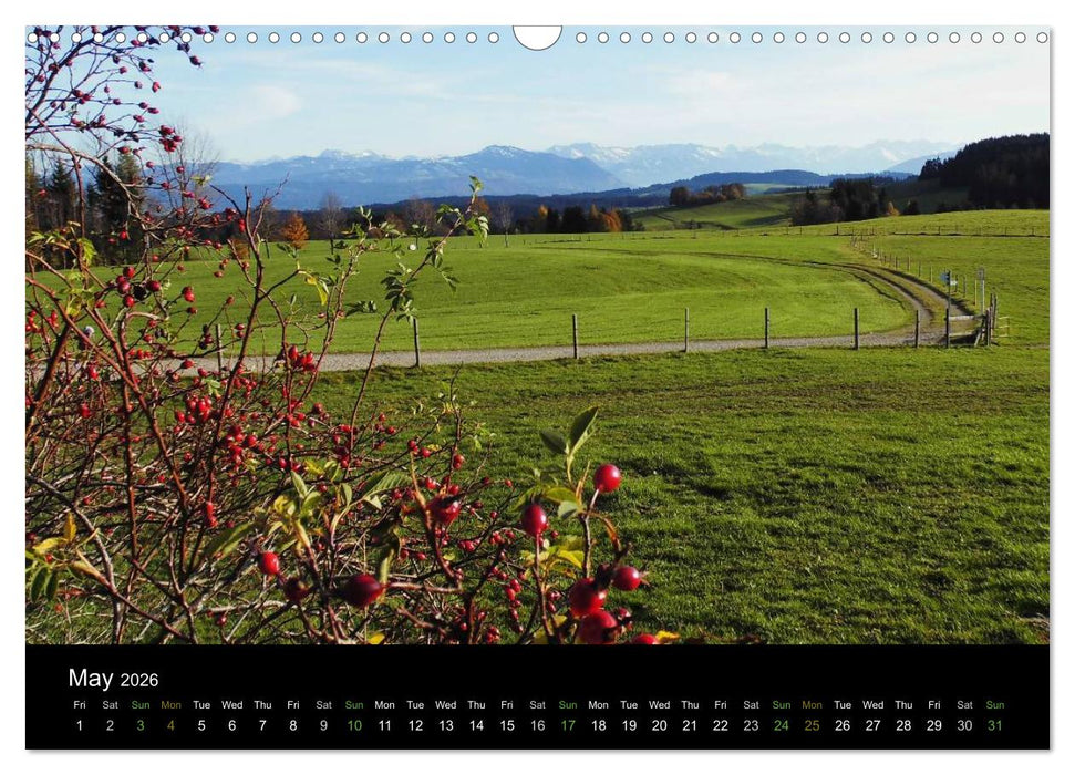 Beautiful Bavarian Alps (CALVENDO Monthly Calendar 2026)