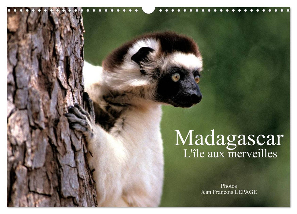Madagascar L'île aux merveilles (CALVENDO Calendrier mensuel 2026)