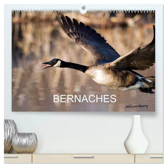 BERNACHES (CALVENDO Calendrier supérieur 2026)