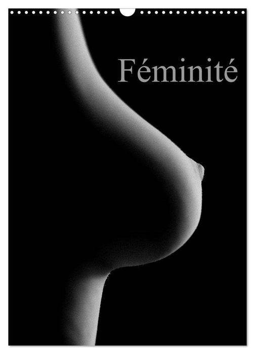 Féminité (CALVENDO Calendrier mensuel 2026)
