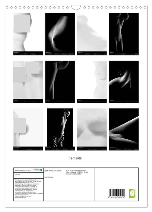 Féminité (CALVENDO Calendrier mensuel 2026)