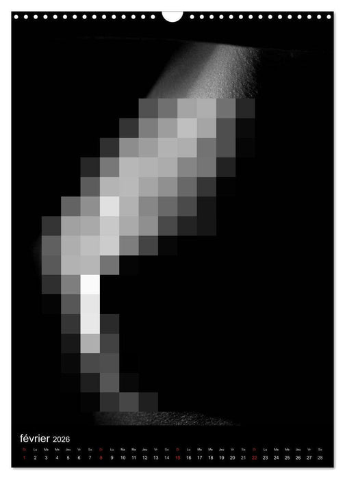 Féminité (CALVENDO Calendrier mensuel 2026)