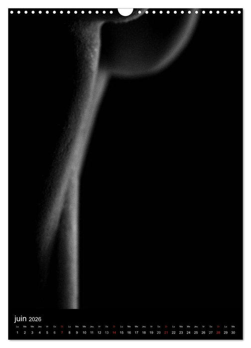 Féminité (CALVENDO Calendrier mensuel 2026)