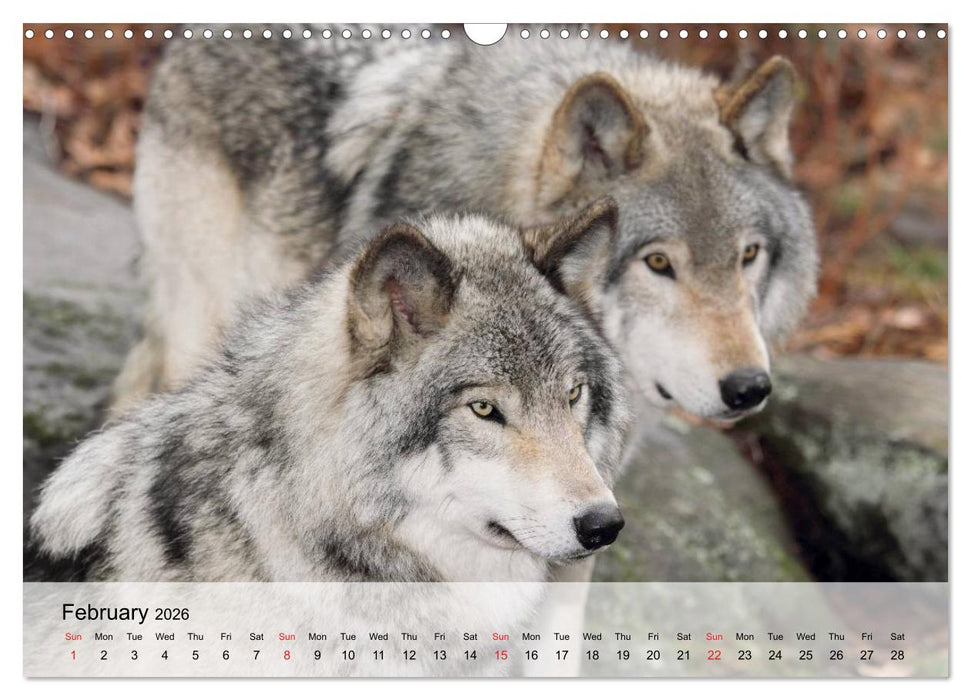 Canada Impressions (CALVENDO Monthly Calendar 2026)