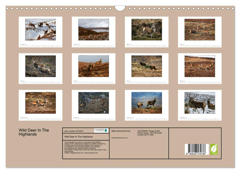 Wild Deer In The Highlands (CALVENDO Monthly Calendar 2026)