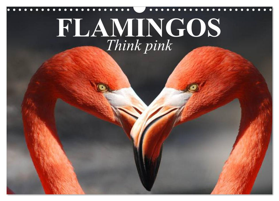 Flamingos Think pink (CALVENDO Monthly Calendar 2026)