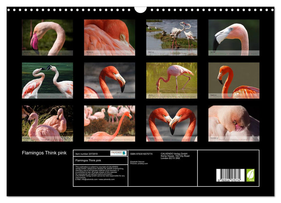 Flamingos Think pink (CALVENDO Monthly Calendar 2026)