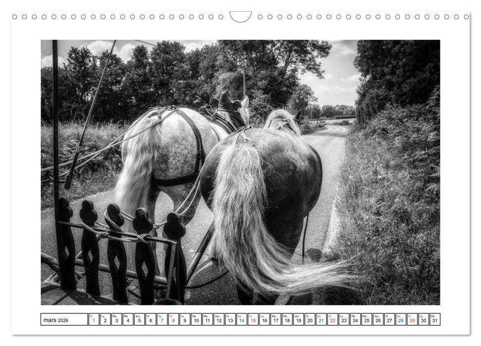 Sur la route avec le Cirque Bidon (CALVENDO Calendrier mensuel 2026)