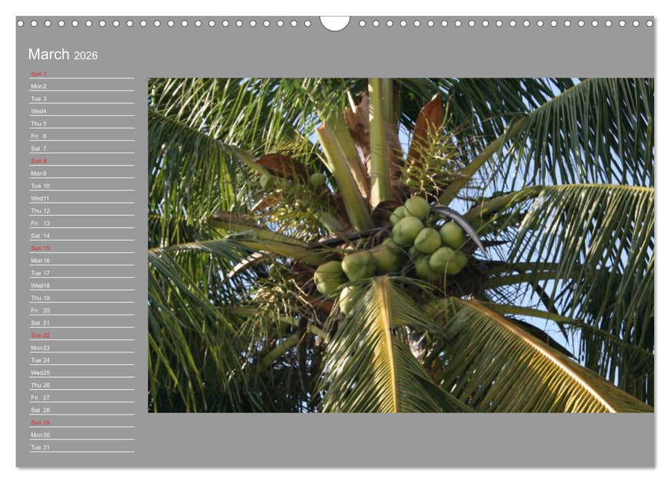 Philippines Colorful Life (CALVENDO Monthly Calendar 2026)