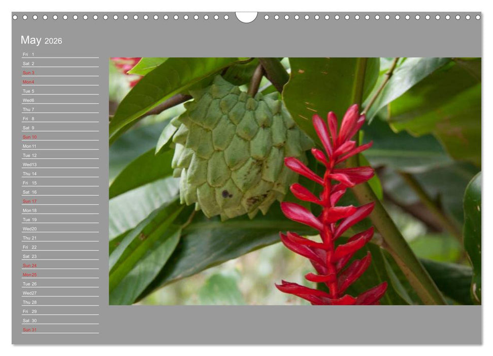 Philippines Colorful Life (CALVENDO Monthly Calendar 2026)