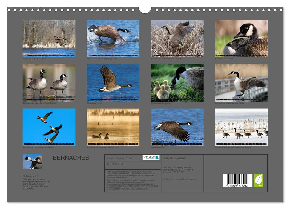 BERNACHES (CALVENDO Calendrier mensuel 2026)