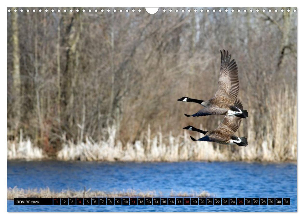 BERNACHES (CALVENDO Calendrier mensuel 2026)