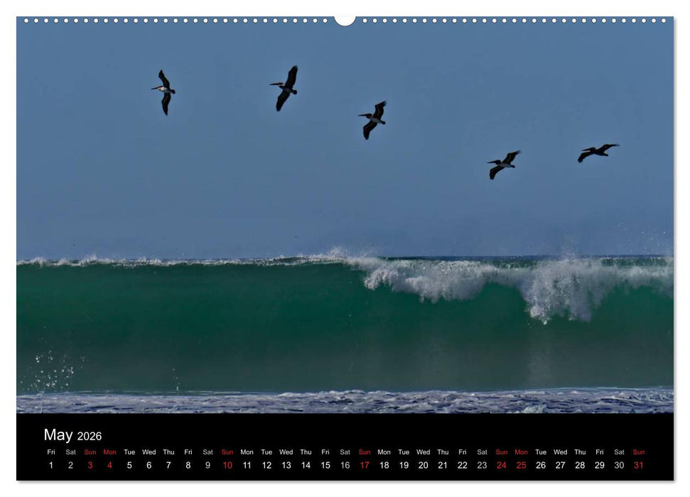 California Coasline (CALVENDO Premium-Calendar 2026)